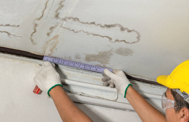 Reliable Water Damage Repair contractor in Templeton, MA by Hirex Water Damage